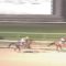 【競馬】アーモンドアイよりルヴァンスレーヴの方が凱旋門賞勝てると思うやつ