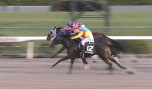 【競馬】コパノキッキング柴田大知ｗｗｗｗ
