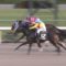 【競馬/根岸S】「コパノキッキング200m伸びたら？」→マーフィー「無理」