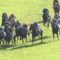 【競馬/菊花賞】ブラストワンピースとは何だったのか