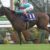 【競馬】アーモンドアイ495キロwww