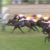 【競馬/マイルCS】ステルヴィオつえーwwwwwwwwwwwwww