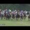 【競馬】11/17(土)東京スポーツ杯2歳ステークス(GIII) 凄まじいメンバーが揃いそう