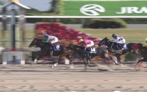 【競馬/JBCクラシック】ケイティブレイブ（父アドマイヤマックス　母父サクラローレル）　←地味すぎるｗｗｗｗｗｗｗｗｗ