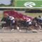 【競馬/JBCクラシック】「的場が踊るー！！」← 関テレの実況盛大にやらかす。シュテルングランツとサンライズソアを間違えるｗｗｗｗｗ