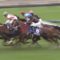 【競馬/マイルCS】13着モズアスコット・ルメール「ぶつけられて、レースが終わったね。もうちょっとで落ちそうだった。残念」