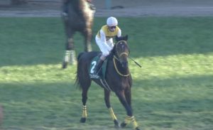 【競馬/弥生賞】ニシノデイジーの西山オーナーブログ更新「皐月もダービーも勝浦」