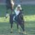 【競馬/ホープフルS】西山オーナー「勝浦騎乗に一片の悔いなし！」