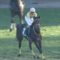 【競馬/東スポ杯2歳S】怪物ニシノデイジー＆世界の勝浦爆誕！！！！