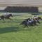 【競馬/東スポ杯2歳S】怪物ニシノデイジーｘ勝浦がノーザン外人勢をなぎ倒すｗｗｗｗｗｗｗｗｗｗｗｗｗｗｗ