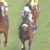 【競馬/ジャパンC】スワーヴリチャードとはなんだったのか