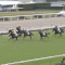【競馬】[画像] 芝のスピードについていけない的場文男の追い方ｗｗｗｗｗ