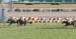 【競馬】クイーンカップ12頭、京都記念12頭、共同通信杯8頭