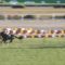 【競馬】アンカツ「京都2歳Sのレベルは大したことない。まだ真打ちが出てきておらんだけの話」