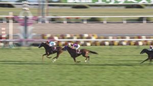 【競馬/デイリー杯2歳S】無傷3連勝アドマイヤマーズ怪物だった？小物？