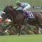 【競馬】アーモンドアイが今年中に種牡馬入りする確率って