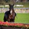 【競馬】ダンビュライトてタマ取られるの？