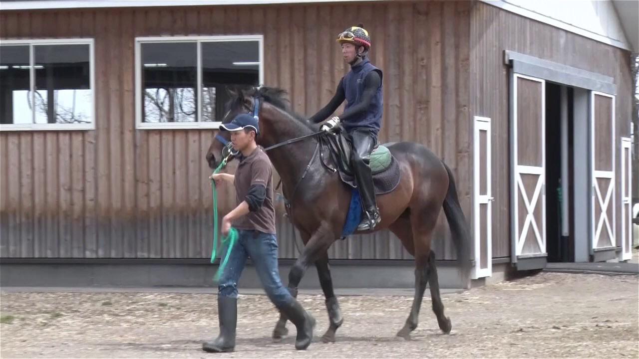 【競馬】ディープのリーディングを脅かす龍王ロードカナロア
