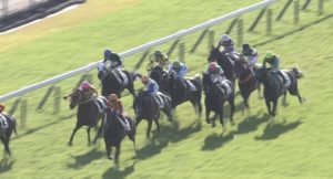 【競馬】京都8レース、センテリュオ北村友一の騎乗