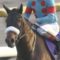 【競馬/ドバイターフ】アーモンドアイなんか微妙じゃね？？？？？？？？？？？？？？？？？