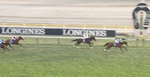 【競馬/ジャパンC】レースを引っ張ったキセキも強すぎワロタw 【競馬/ジャパンC】レースを引っ張ったキセキも強すぎワロタw