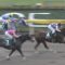 【競馬】結局、戸崎＞＞＞＞＞＞＞ルメール、デムーロ、モレイラ、スミヨンなんだよな