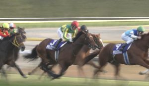 【競馬/ジャパンC】池江泰寿「サトノダイヤモンドはピークの頃と比べると８割ぐらいしか戻っていない」