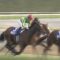 【競馬/ジャパンC】サトノダイヤモンド弱すぎワロタｗｗｗｗｗｗｗｗｗｗｗｗｗｗｗｗｗｗｗｗ
