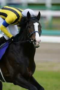 【競馬】イスラボニータがいないマイルCS 【競馬】イスラボニータがいないマイルCS