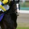 【競馬】イスラボニータがいないマイルCS