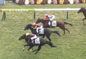 【競馬/２歳新馬】ジェンティルドンナ初仔モアナアネラとは何だったのか