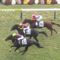 【競馬/２歳新馬】ジェンティルドンナ初仔モアナアネラとは何だったのか