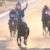 【競馬】11/25横山典弘との写真撮影会
