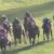 【競馬】モレイラ飛ばしまくりｗｗｗｗｗｗｗｗｗｗｗｗ
