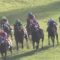 【競馬】モレイラ飛ばしまくりｗｗｗｗｗｗｗｗｗｗｗｗ