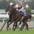 【競馬】ノーザンファーム代表・吉田勝己氏、ロードカナロアを大絶賛！！