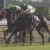【競馬】リスグラシュー、秋はとりあえずオールカマーから始動　その後は海外も含め現在検討中