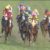 【競馬/ジャパンC】8着ウインテンダネス内田博騎手「今日は抑える競馬をしました」