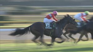 【競馬/東スポ杯2歳S】ルヴォルグ酷すぎワロタｗｗｗｗｗｗｗｗｗｗｗｗｗｗｗ