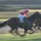 【競馬/東スポ杯2歳S】ルヴォルグ酷すぎワロタｗｗｗｗｗｗｗｗｗｗｗｗｗｗｗ