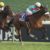 【競馬/ジャパンC】アーモンドアイが凱旋門賞勝てそうな件 【競馬/ジャパンC】アーモンドアイが凱旋門賞勝てそうな件