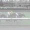 【競馬】武豊ブチギレ「あの乗り方するなら勝てよ！」