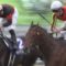 【競馬】ステルヴィオ、スプリンターズS回避がなぜか騒がれてない件について