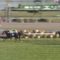 【競馬/エリ女】小島調教師が池添を痛烈批判！！｢なんで3着馬を前に入れて引いたんだよ！！｣