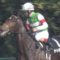 【競馬】非道ルメール、ミルコからサートゥルナーリアを強奪！！！！