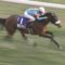 【競馬・安田記念】アーモンドアイ落鉄していた‥‥