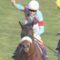 【競馬】海外勢最有力馬ベンバトルがドバイターフ回避でアーモンドアイ3億円ただ貰いwww