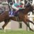 【競馬・安田記念】アーモンドアイ弱すぎワロタｗｗｗｗｗｗｗｗｗｗｗｗ