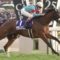 【競馬】ノーザンファーム天栄  VS  ノーザンファームしがらき