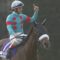 【競馬】朗報！アーモンドアイ、普通に追い切り！有馬記念出走確実か！？
